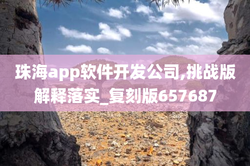 珠海app软件开发公司,挑战版解释落实_复刻版657687