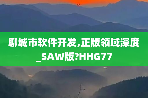 聊城市软件开发,正版领域深度_SAW版?HHG77