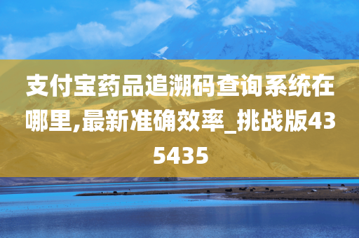 支付宝药品追溯码查询系统在哪里,最新准确效率_挑战版435435