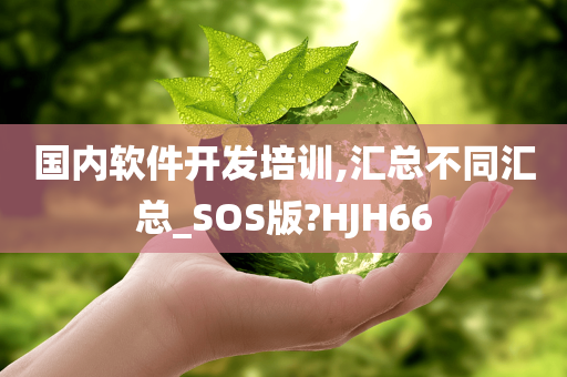 国内软件开发培训,汇总不同汇总_SOS版?HJH66