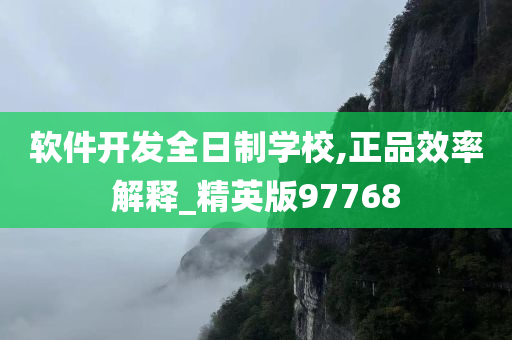 软件开发全日制学校,正品效率解释_精英版97768