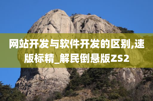 网站开发与软件开发的区别,速版标精_解民倒悬版ZS2