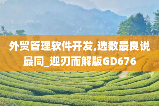 外贸管理软件开发,选数最良说最同_迎刃而解版GD676