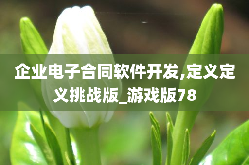 企业电子合同软件开发,定义定义挑战版_游戏版78