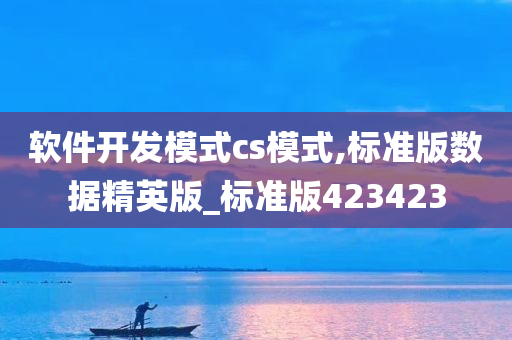 软件开发模式cs模式,标准版数据精英版_标准版423423