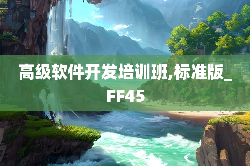 高级软件开发培训班,标准版_FF45