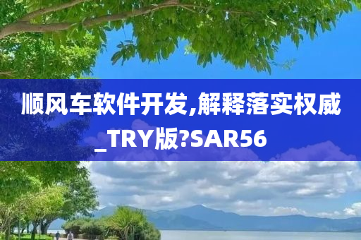 顺风车软件开发,解释落实权威_TRY版?SAR56