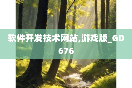 软件开发技术网站,游戏版_GD676