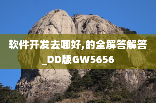 软件开发去哪好,的全解答解答_DD版GW5656