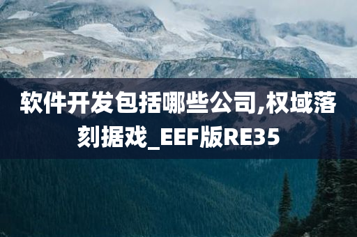 软件开发包括哪些公司,权域落刻据戏_EEF版RE35