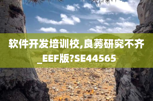 软件开发培训校,良莠研究不齐_EEF版?SE44565