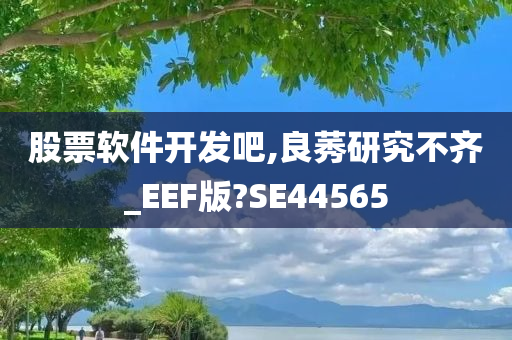 股票软件开发吧,良莠研究不齐_EEF版?SE44565