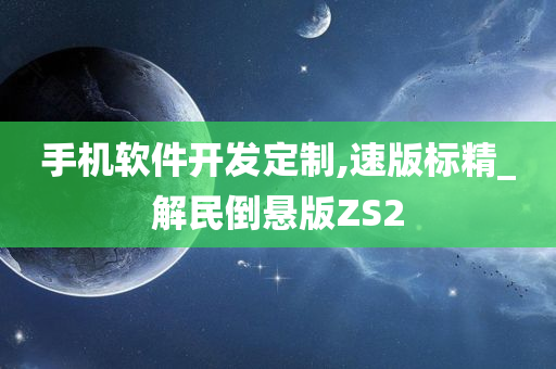 手机软件开发定制,速版标精_解民倒悬版ZS2