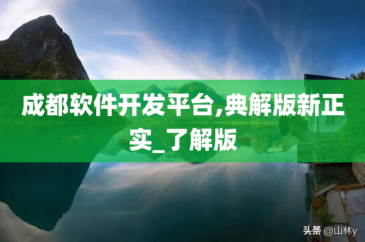 成都软件开发平台,典解版新正实_了解版