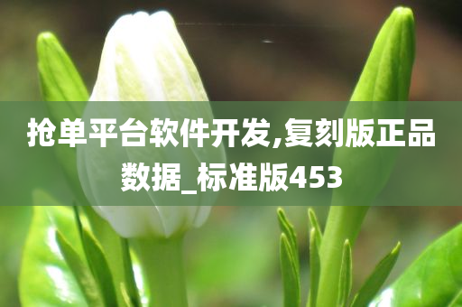 抢单平台软件开发,复刻版正品数据_标准版453