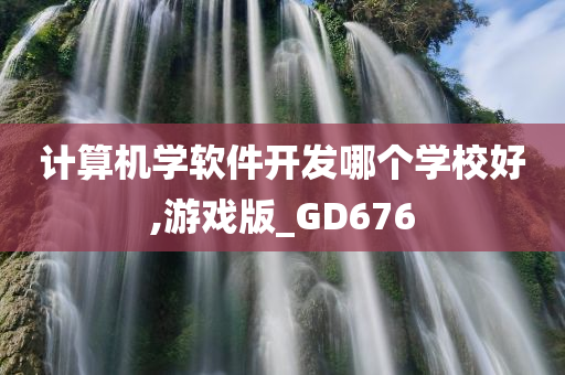 计算机学软件开发哪个学校好,游戏版_GD676