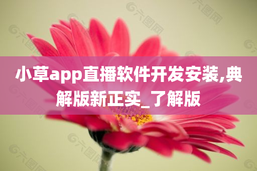 小草app直播软件开发安装,典解版新正实_了解版