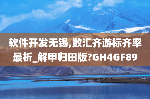 软件开发无锡,数汇齐游标齐率最析_解甲归田版?GH4GF89