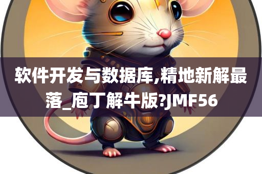 软件开发与数据库,精地新解最落_庖丁解牛版?JMF56