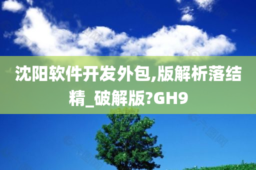 沈阳软件开发外包,版解析落结精_破解版?GH9