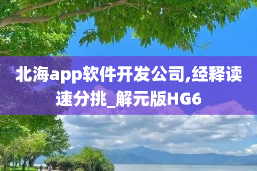 北海app软件开发公司,经释读速分挑_解元版HG6