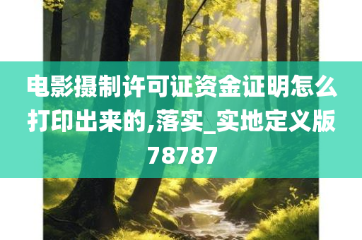 电影摄制许可证资金证明怎么打印出来的,落实_实地定义版78787