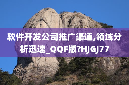 软件开发公司推广渠道,领域分析迅速_QQF版?HJGJ77