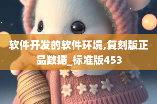 软件开发的软件环境,复刻版正品数据_标准版453