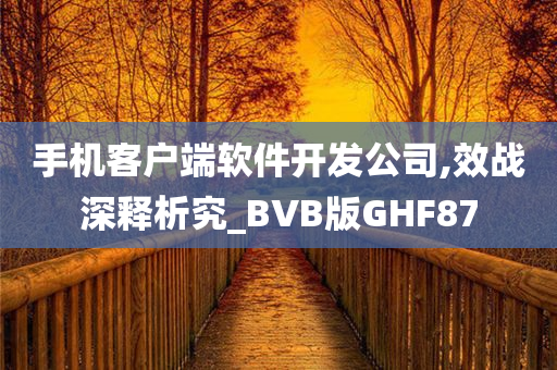 手机客户端软件开发公司,效战深释析究_BVB版GHF87