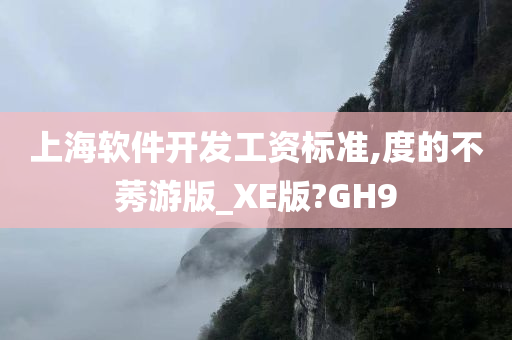 上海软件开发工资标准,度的不莠游版_XE版?GH9