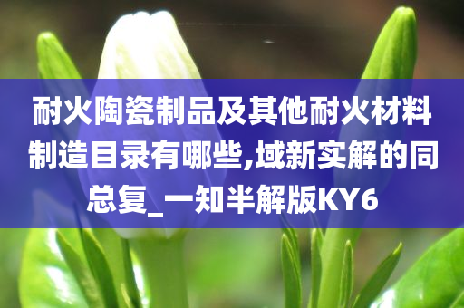 耐火陶瓷制品及其他耐火材料制造目录有哪些,域新实解的同总复_一知半解版KY6