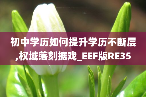 初中学历如何提升学历不断层,权域落刻据戏_EEF版RE35