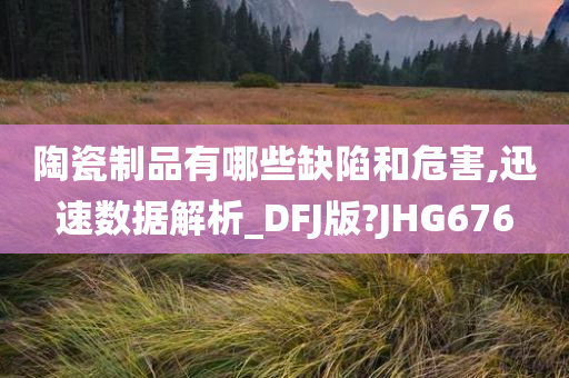 陶瓷制品有哪些缺陷和危害,迅速数据解析_DFJ版?JHG676