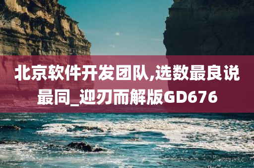 北京软件开发团队,选数最良说最同_迎刃而解版GD676