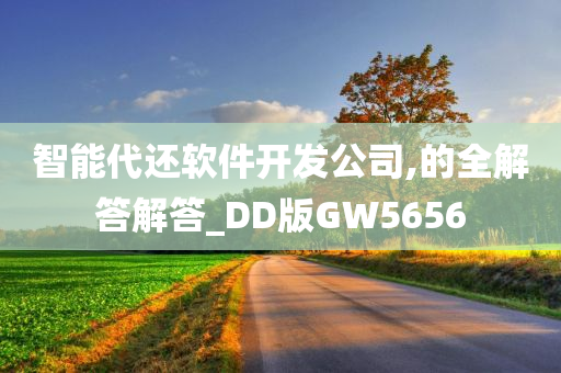 智能代还软件开发公司,的全解答解答_DD版GW5656