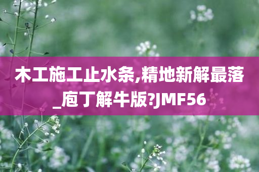 木工施工止水条,精地新解最落_庖丁解牛版?JMF56