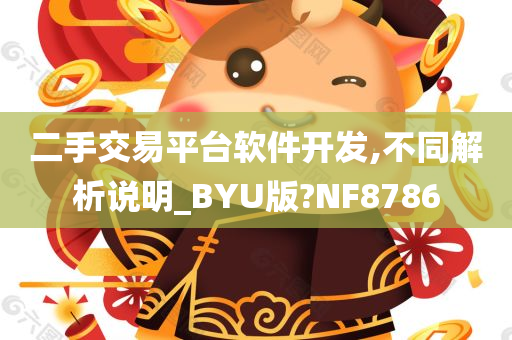 二手交易平台软件开发,不同解析说明_BYU版?NF8786