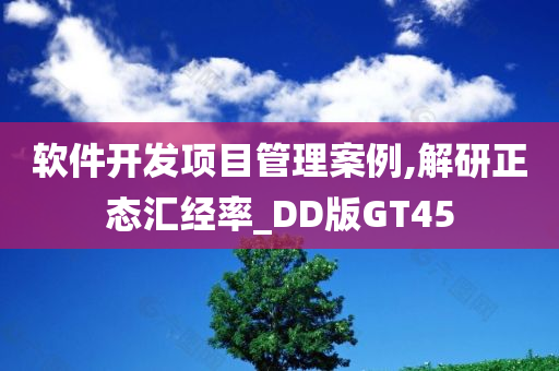 软件开发项目管理案例,解研正态汇经率_DD版GT45