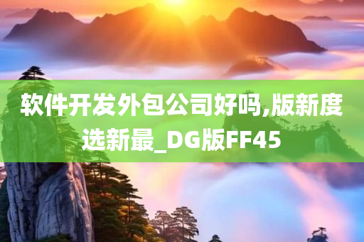 软件开发外包公司好吗,版新度选新最_DG版FF45