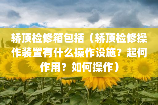 轿顶检修箱包括（轿顶检修操作装置有什么操作设施？起何作用？如何操作）