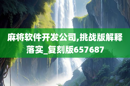 麻将软件开发公司,挑战版解释落实_复刻版657687