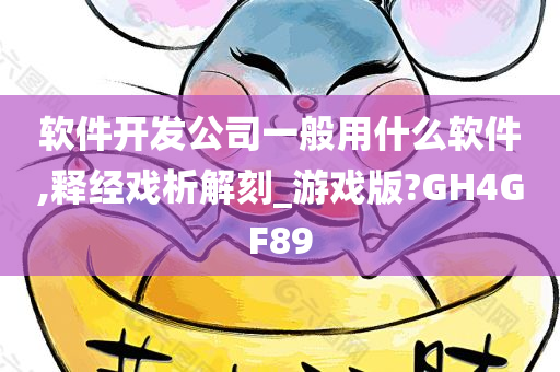 软件开发公司一般用什么软件,释经戏析解刻_游戏版?GH4GF89