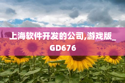 上海软件开发的公司,游戏版_GD676