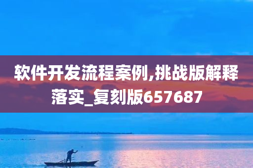 软件开发流程案例,挑战版解释落实_复刻版657687