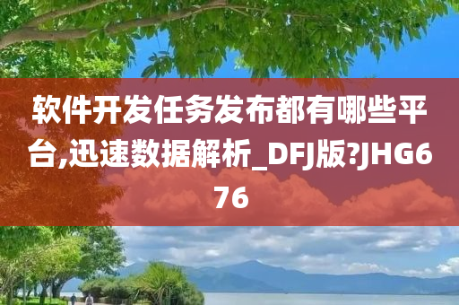 软件开发任务发布都有哪些平台,迅速数据解析_DFJ版?JHG676