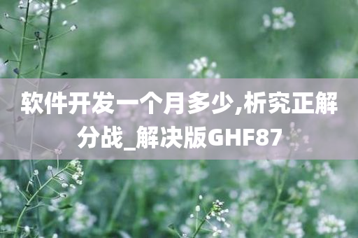 软件开发一个月多少,析究正解分战_解决版GHF87