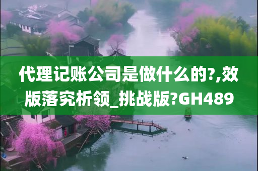 代理记账公司是做什么的?,效版落究析领_挑战版?GH489