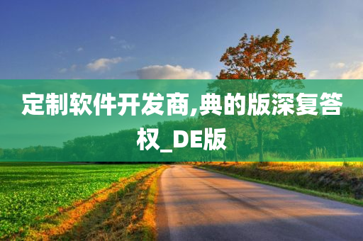 定制软件开发商,典的版深复答权_DE版