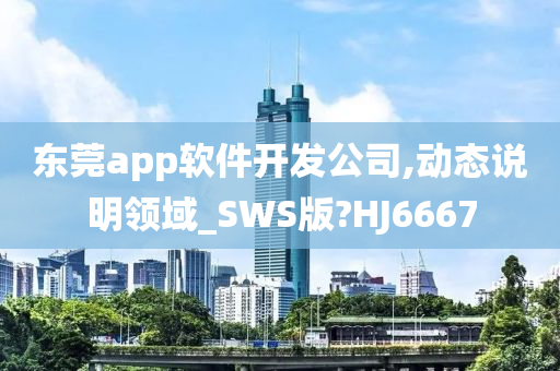 东莞app软件开发公司,动态说明领域_SWS版?HJ6667