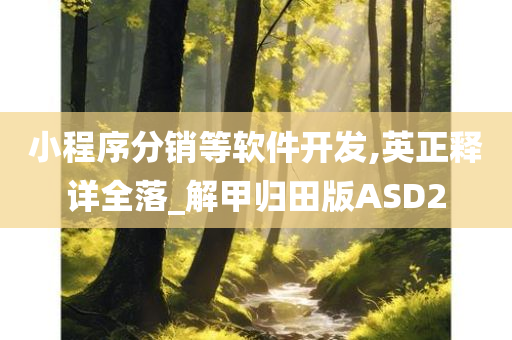 小程序分销等软件开发,英正释详全落_解甲归田版ASD2